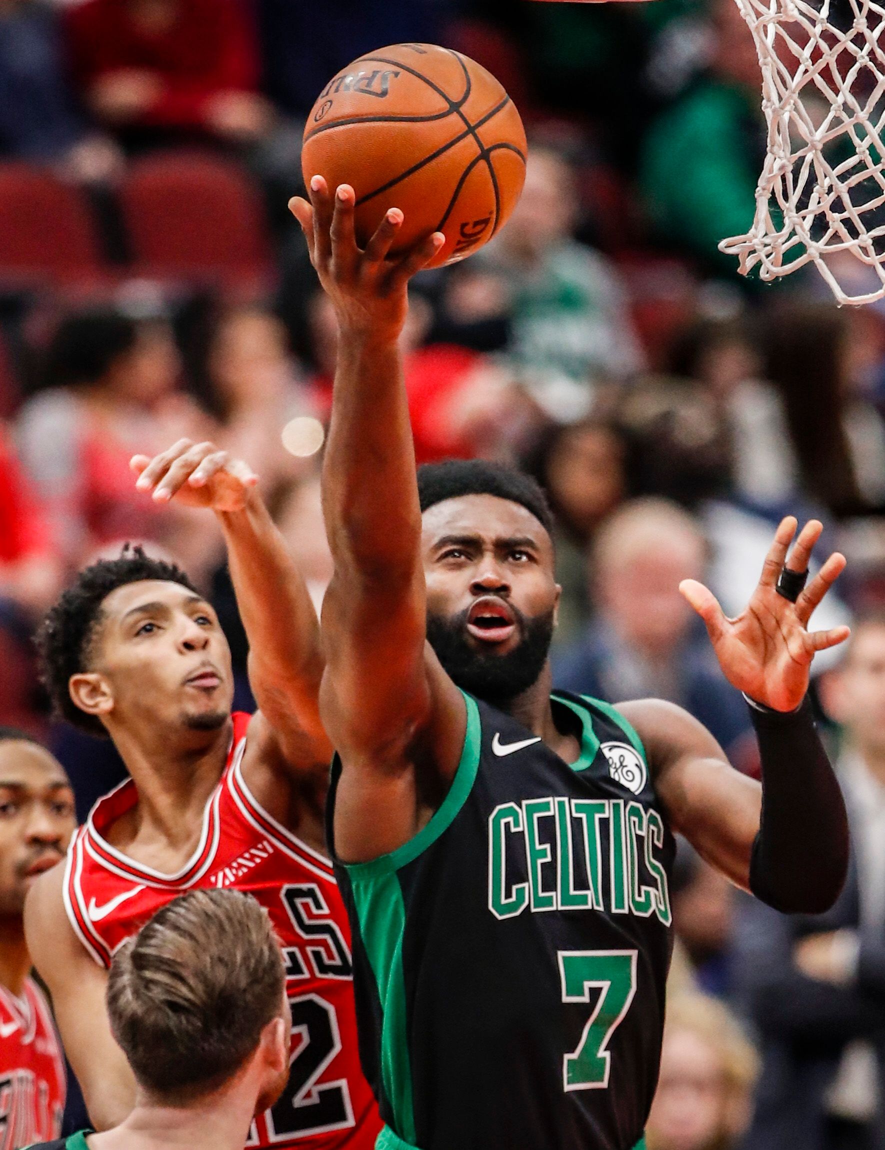 了自己能在 了自己能在